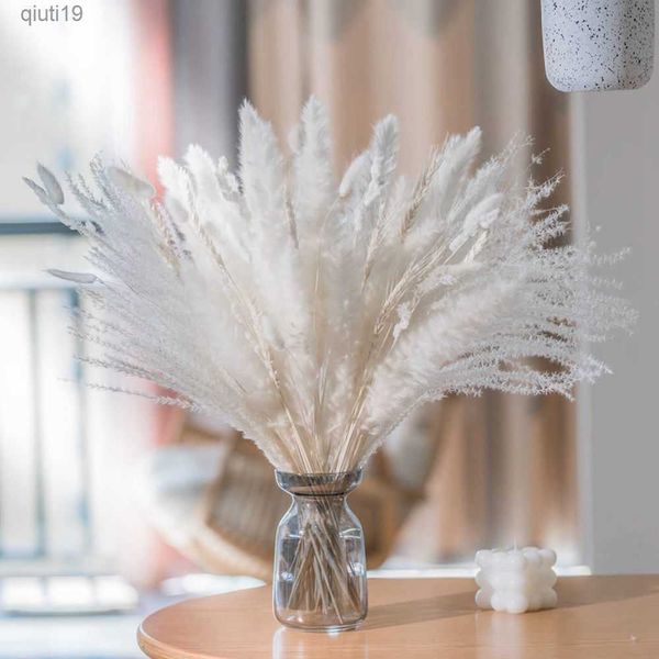 Fiori secchi 70 steli Pampas bianchi Set di erba Boho Matrimonio Mazzi di fiori secchi Soffici pampas naturali Iving Room Coffee Table Decoration R230720