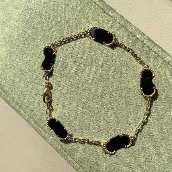 V material de ouro Luxuosa qualidade cinco pulseiras de conchas naturais jade roxo ágata vermelha para mulheres jóias de casamento presente com caixa WEB 001