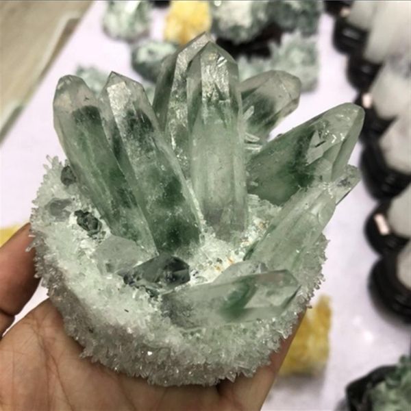 circa 500 g raro campione minerale a grappolo di cristallo di quarzo fantasma verde naturale325W