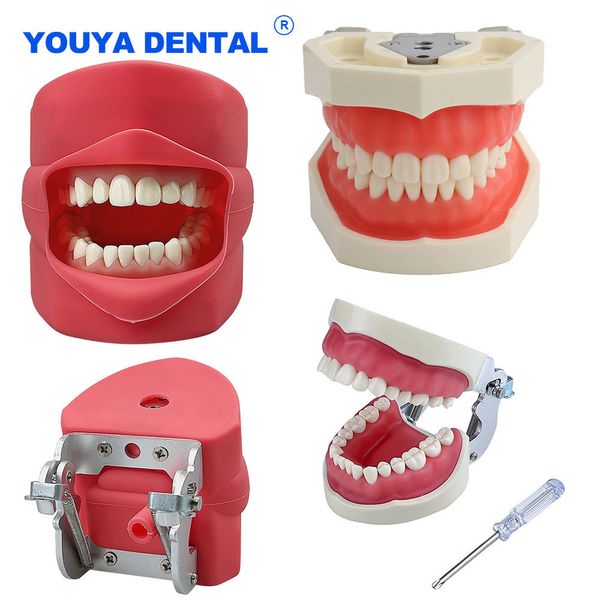 Outros Higiene Oral Dentes Modelo Prática Jaw Typodont Head Model Training Simulação Phantom Practice Silicone Mask Holder Decor Study Teach 230720
