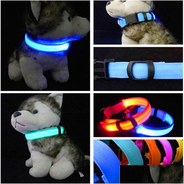 Coleiras para cães coleira de nylon com led luz de segurança noturna brilho intermitente suprimentos para animais de estimação acessórios para gatos para cães pequenos entrega direta Ho Dhwkq