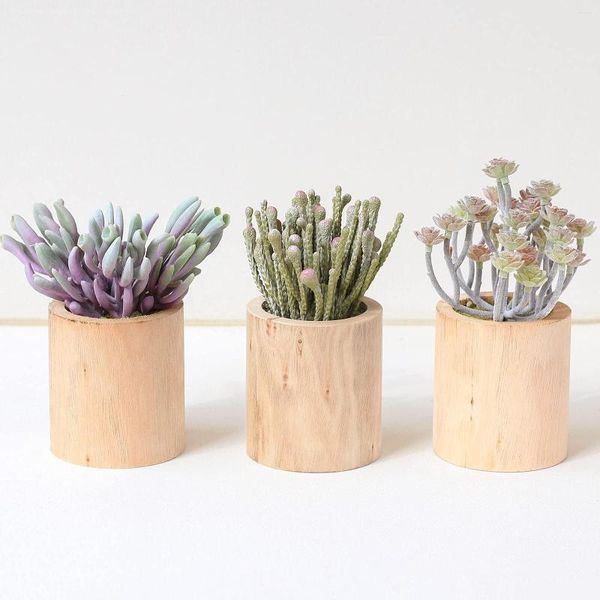 Fiori decorativi Simulazione di alta qualità Piante di cactus artificiali succulente per interni Piante grasse da scrivania finte in vaso di legno