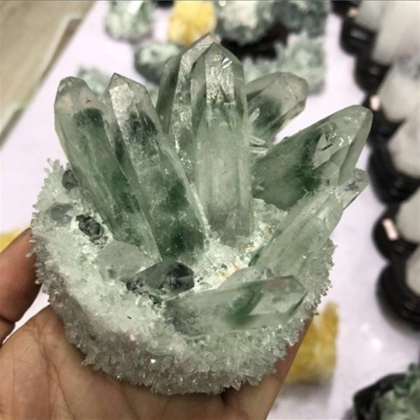 circa 500 g raro campione minerale a grappolo di cristallo di quarzo fantasma verde naturale317B