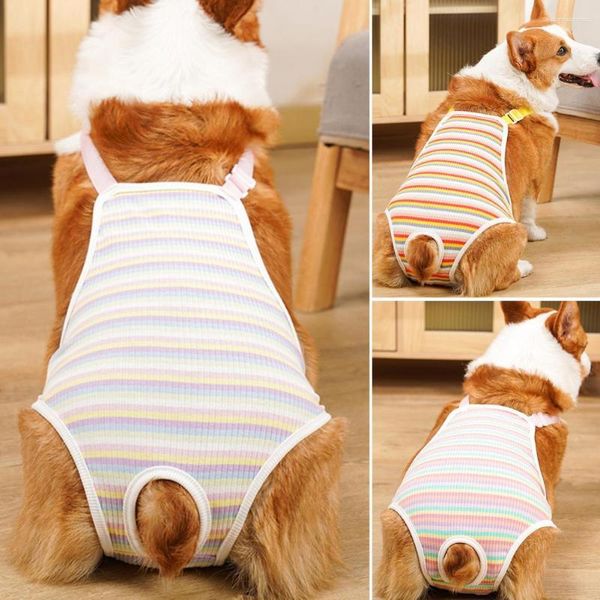 Abbigliamento per cani Pantaloni fisiologici per animali domestici Apertura della coda Cinghie regolabili Biancheria intima di cotone Fornitura del periodo mestruale