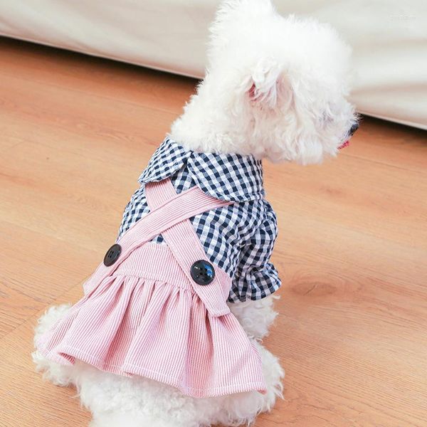 Abbigliamento per cani Tute moda preppy per cani Abiti firmati Chihuahua per animali domestici femminili Abiti fantasia primaverili Regali di compleanno Abbigliamento per gatti per ragazze