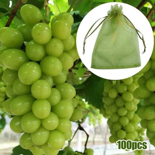 Altre Forniture da Giardino 100 Pezzi Sacchetti di Rete Sacchetto di Rete di Protezione per Uva per Proteggere Frutta Verdura Ammollo S-eeds2551