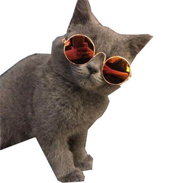 Lustige Haustier-Katzen-Sonnenbrille, Outdoor-Party-Brille, Hundebekleidung, Schnauzer, Teddy, Corgi, Welpenzubehör, Zubehör2538