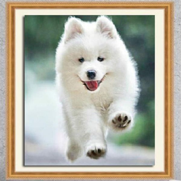 DIY 5D Partial Diamond Bordar The dog Square Diamond Painting Cross Stitch Kits Diamond Mosaic Home Decoration a155268W