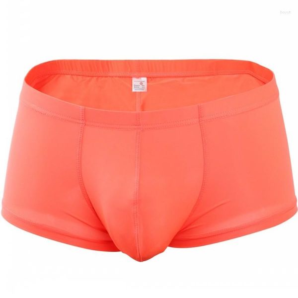 Cuecas da marca Pinky Senson Men Cuecas de Nylon Sem Costura Transparente Boxer Boxer Respirável Casa Sexy