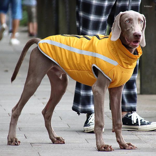 Vestuário para cães Roupas para atividades ao ar livre Jaqueta grande quente para o inverno Itens para animais de estimação Ropa Perro Mascotas Acessórios à prova d'água Espessado Refletivo