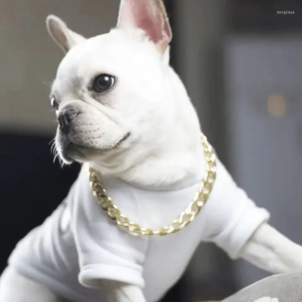 Collari per cani Fashion Metal P ChokeChain Gold Slip Collar Design di lusso Collana da addestramento durevole Cani di grossa taglia Gioielli per animali domestici Accessorio per cuccioli