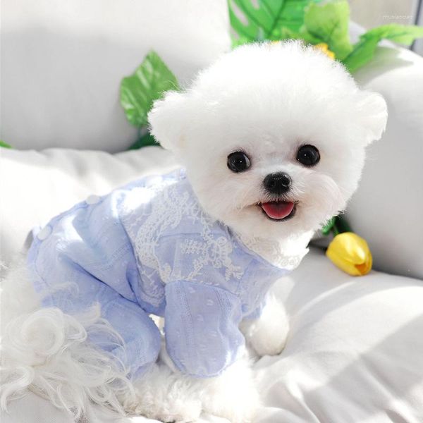 Hundebekleidung Blauer Overall Kleidung Welpe Süße Spitze Strampler Kleine Hunde Kleidung Katze Frühling Sommer Koreanische Mode Mädchen Yorkshire Haustierartikel