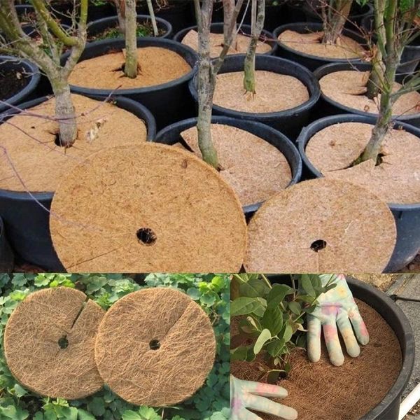 Suporta 30/40/45/60cm Natural Coco Coir Fiber Tree Mulch Anel Protetor Tapete orgânico para disco interno e externo Capa de planta para vaso de flores