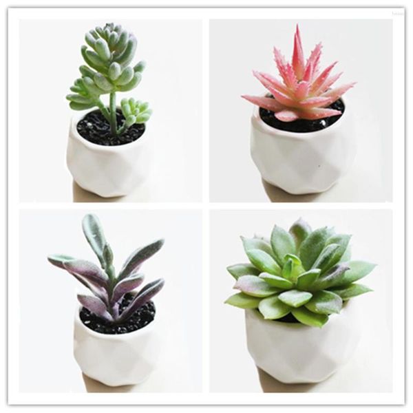Set di fiori decorativi di 4 mini piante succulente artificiali in vasi di ceramica bianca