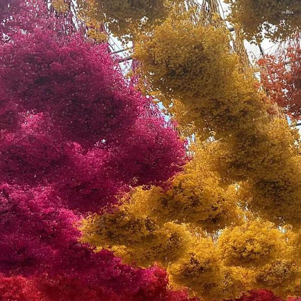 Fiori decorativi Vendite dirette in fabbrica di Gypsophila naturale Bouquet immortale colorato Grandi quantità Decorazioni per la casa di alta qualità 75 g / lotto