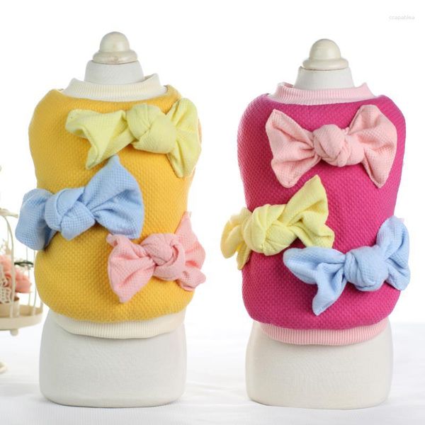 Vestuário para cães Sweet Candy Colorido Casacos grossos Jaquetas Roupas para cães Filhote de cachorro Gato Roupas para animais de estimação Produtos