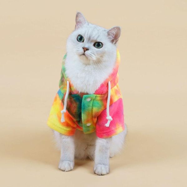 Trajes de gato roupas para animais de estimação quatro estações suéter de lã polar moda casual boné para cachorro