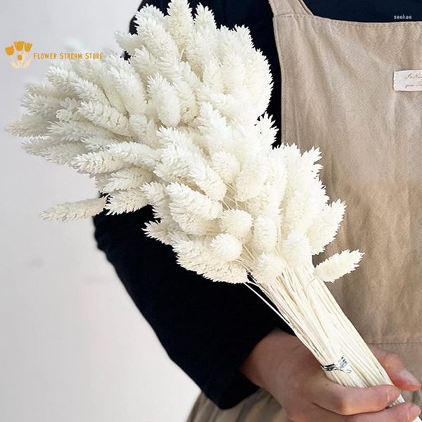 Flores decorativas Buquê de ervas secas naturais Boho Decoração para casa Flor artificial Jóias Grama Decoração de casamento Adereços de pografia