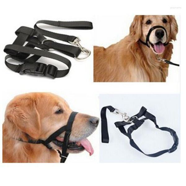 Coleiras para cães coleira sem puxão, alças para mordidas ajustáveis, arnês para cabeça, coleira de treinamento antilatido
