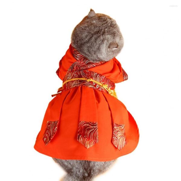 Costumi per gatti Vestiti per animali domestici Bellissimi colori a contrasto Cosplay Due gambe Cucciolo Abbigliamento da gattino