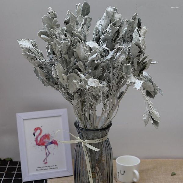 Fiori decorativi 10pcs Bouquet di fiori conservati in foglia d'argento naturale essiccata Eternal DIY Dry Erba Wedding Home Table Decor Accessori
