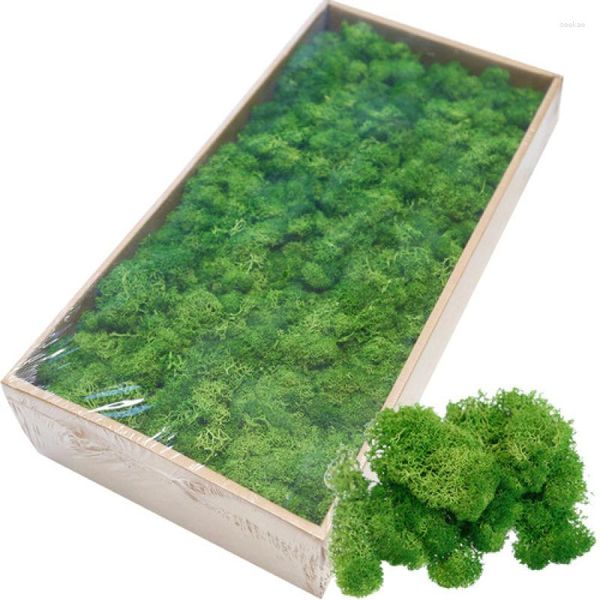 Fiori decorativi 100g simulazione Muschio artificiale Verde Verde Eterna Grass Pianta finta per decorazioni da parete per la casa Giardino Micro Paesaggio Materiale