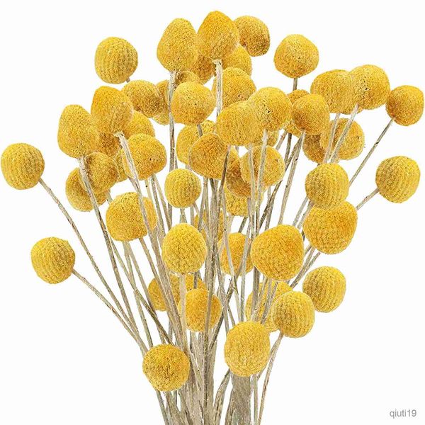 Flores secas naturais Billy Balls flores amarelas arranjos de flores buquê para casamento em casa de fazenda decoração faça você mesmo R230725