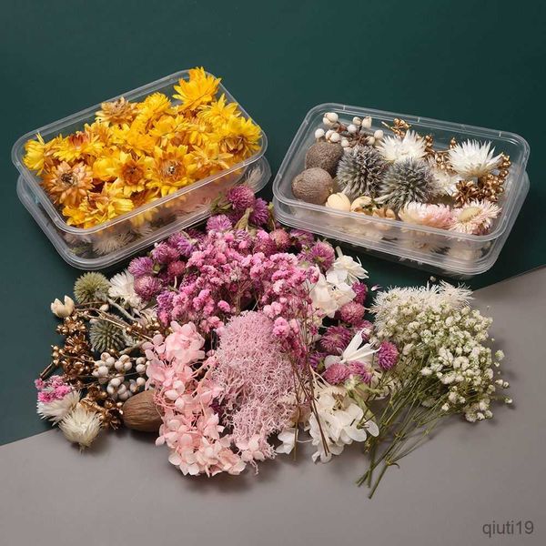 Box mit getrockneten Blumen, echte getrocknete Blumen, natürliche bunte Pflanze, DIY-Fotomaterialien, Geburtstagsgeschenk, Zubehör, Herstellung, Festival, Hochzeit, Heimdekoration, R230725