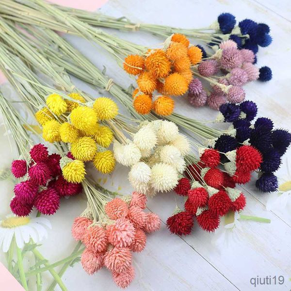 Высушенные цветы натуральные высушенные цветочные цветочные фрукты цветок DIY Бессмертный цветочный материал ручной стеклян