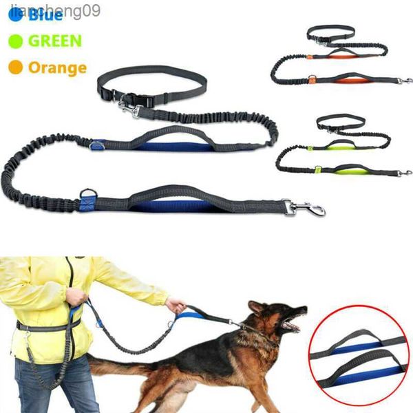 Hands Free Pet Dog Lead Walking Cintura da corsa Jogging Vita Pet Leads Tranning Guinzaglio Cintura elastica regolabile all'aperto L230620