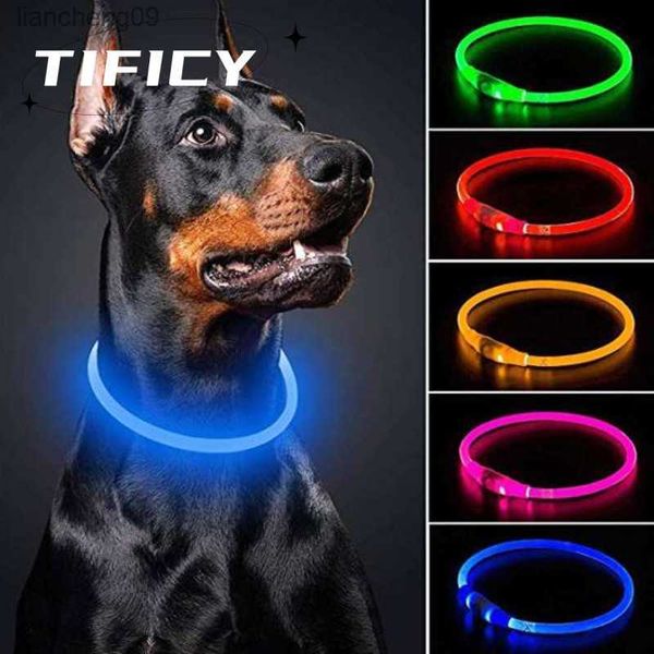 Coleira para cães com luz led destacável brilhante carregamento USB coleira luminosa para coleira de gato grande pequeno brilhante labrador animais de estimação cães produtos L230620