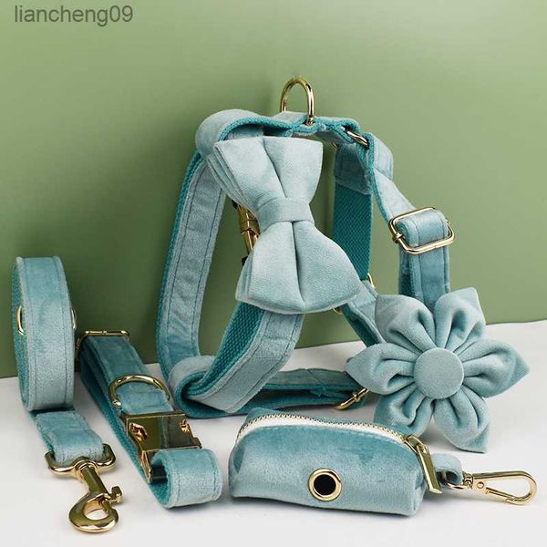 Collare e guinzaglio per cani in velluto verde per cani di taglia piccola e media Targhetta con incisione personalizzata Forniture per animali Guinzaglio per cani Velvet29 L230620