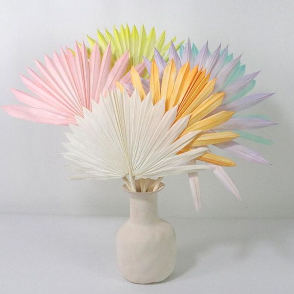 Fiori decorativi Lychee Life Colorful Tifa Fan Leaf Fiore essiccato Palm Home Wedding Christmas Party Decor Disposizione Materiale