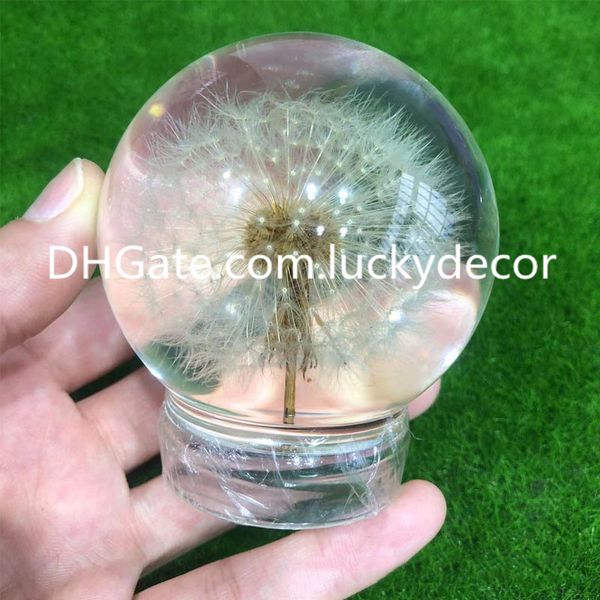 Lente de resina de vidro dente-de-leão esfera esfera decoração de casa flor botânica mágica esfera globo ornamento boa sorte presente de formatura lindo floral transparente peso de papel