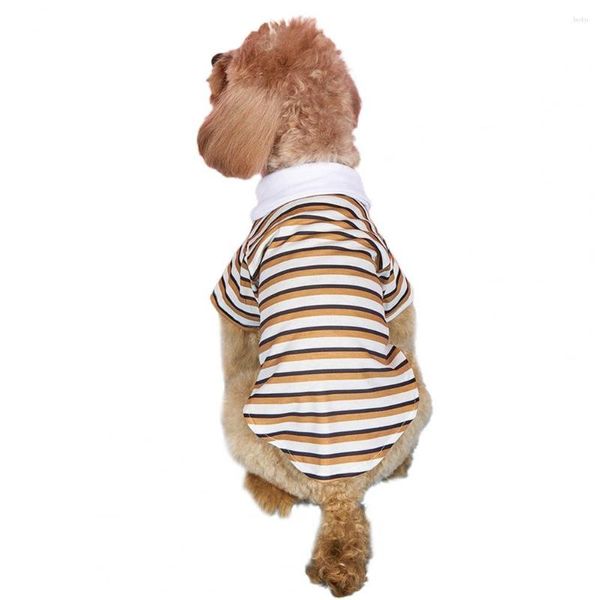 Hundebekleidung, stilvolle Welpen-Leggings, weiches Pullover-Shirt, zweibeinige Freizeitkleidung