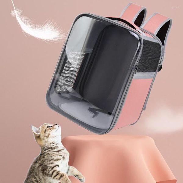 Borsa per animali domestici per trasportini per gatti per zaino da esterno trasparente Forniture per finestre da viaggio portatili