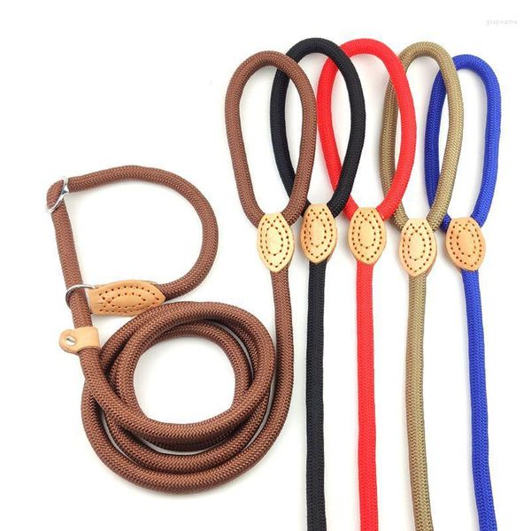 Collari per cani Guinzaglio in nylon Cintura Walking Training Weave Pet Guinzagli Corda Addensare Cani Guinzaglio per piccoli accessori di medie dimensioni Roba