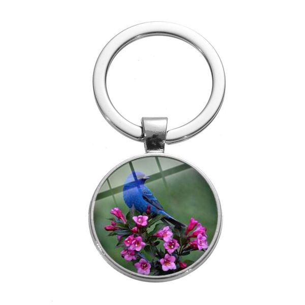 Anahtarlıklar Landards Kuş Şube Po Anahtarlık Mavi Sinek kuşu Bal Çiçekleri Cam Yuvarlak Anahtar Yüzük Toplar Erkek Kadın Hayvan Tutucu Dhpye
