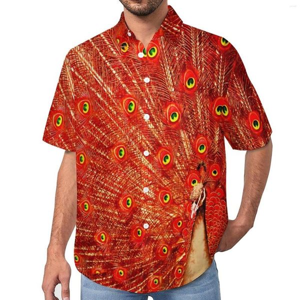 Herren-Freizeithemden, rote Pfauenfedern, niedliches Tier-Strandhemd, hawaiianische ästhetische Blusen, männlich, bedruckt, 3XL 4XL