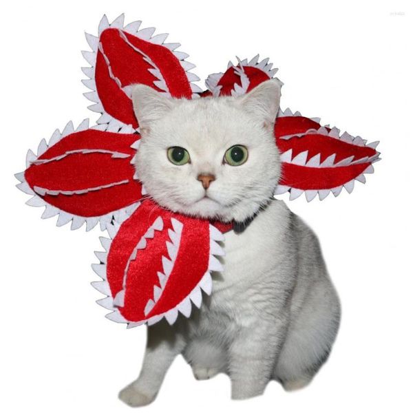 Abbigliamento per cani Abiti per animali divertenti Accessori per costumi adorabili Cappello di Halloween divertente per accessori per demoni di cani e gatti