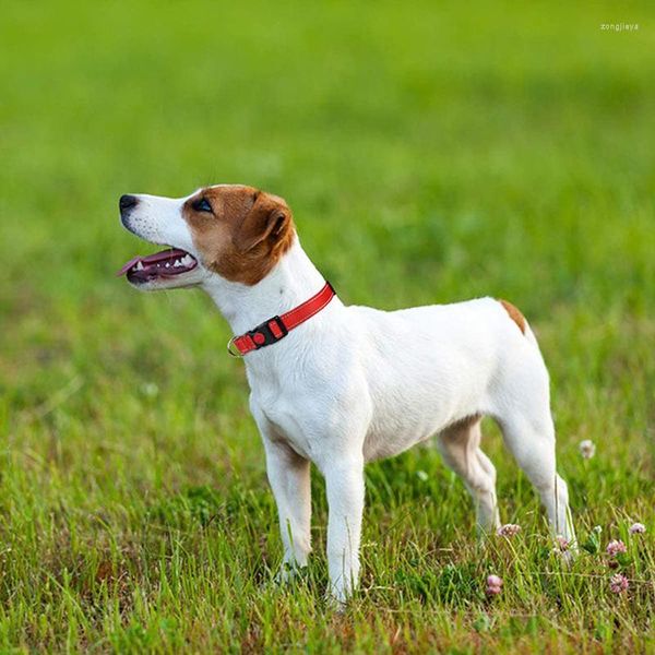 Collari per cani Collare Corda da trazione Panno da immersione Nylon Riflettente Forniture per animali Regali Prevenire la perdita