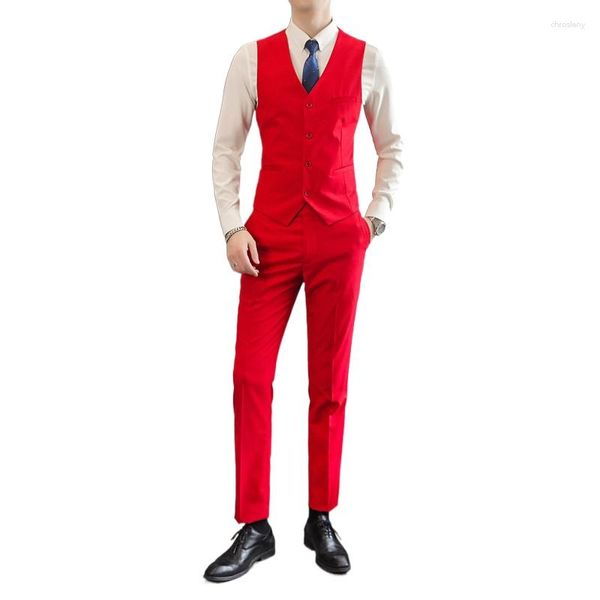 Erkekler Takım 10 Renk Erkek yelek ve pantolon arasından seçim yapmak için büyük boy s-6xl saf renk erkek iş elbisesi seti moda düğün pantolon