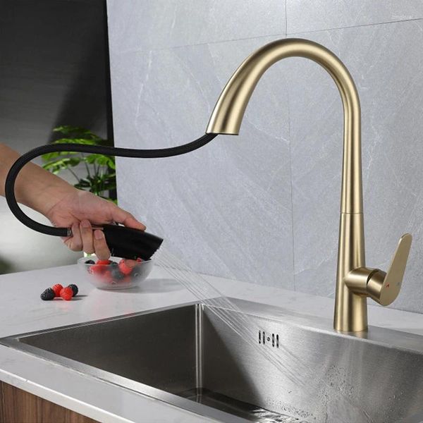 Rubinetti da cucina stile contemporaneo rubinetto estraibile in acciaio inox spazzolato e lavello freddo con due modalità d'acqua