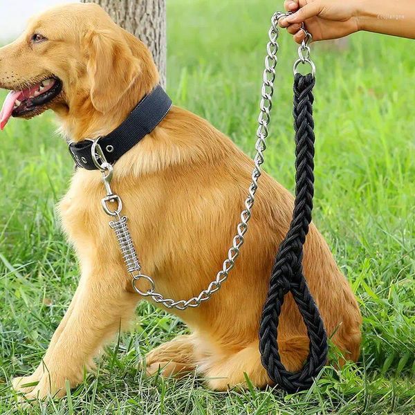 Köpek yakaları 140cm tasma 360 ° dönen metal toka güçlü uçlar, tampon yay ortamı ile örgülü 8 iplik örgülü büyük