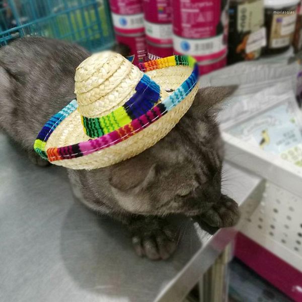 Vestuário para cães, chapéu de palha para animais de estimação, gato, sombrero mexicano, fivela ajustável, fantasia, enfeites para festas de Halloween