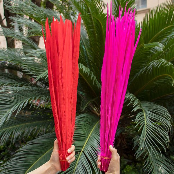 Plumes de faisan naturelles, 10 pièces, queue de 40 à 65 CM, pour décoration de fête, Plumas de poulet, coq, accessoire de coiffure de Costume