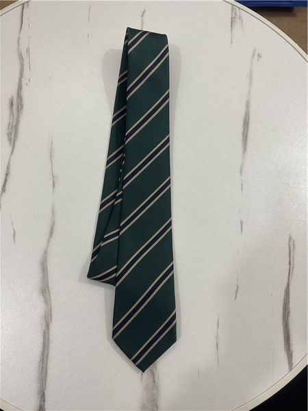 2024Мужские галстуки на шею Дизайнерские галстуки Модные мужские галстуки с буквенным принтом Бизнес Досуг Галстук ручной работы 100% Шелк Роскошь Высочайшее качество с коробкой
