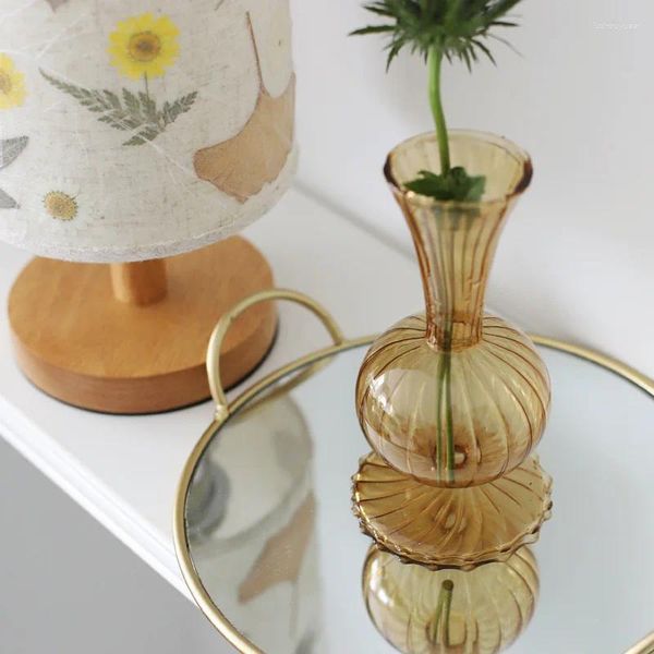 Vasos estilo nórdico simples mesa atmosférica arte flor inserção decorativa garrafa hidropônica retro vaso de vidro transparente marrom