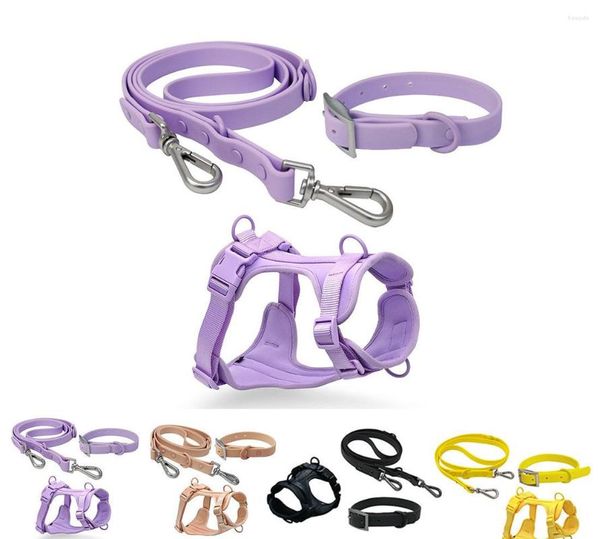 Collari per cani Guinzaglio e collare in PVC Guinzaglio per animali domestici Resistente e resistente rivestito in gomma impermeabile Moda per cani di taglia media