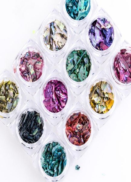 12-farbige Nail-Art-Dekoration, unregelmäßige Muschel-Papierflockenscheibe, Paillettenfragment, 12 Boxen, wunderschönes Import-Abalone-Muschelstück 3D8731097